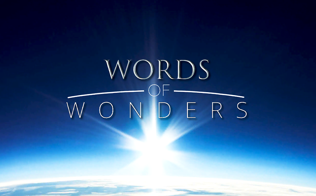 Words Of Wonders, Головоломки, Гайды