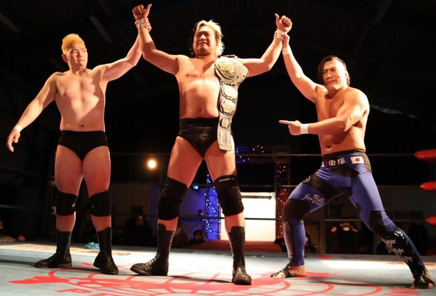 Обзор AJPW New Year Wars: Chiba Extra Dream 25 от 10.01.2021, изображение №13
