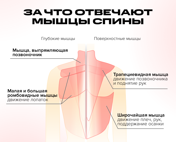 Бобровский врач лечение суставов