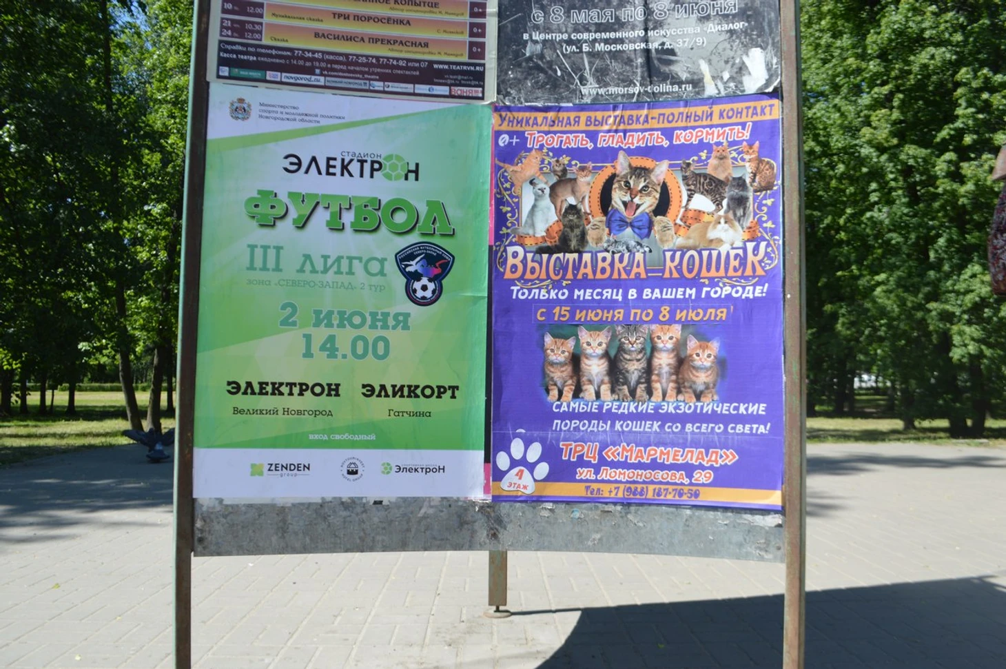 Электрон