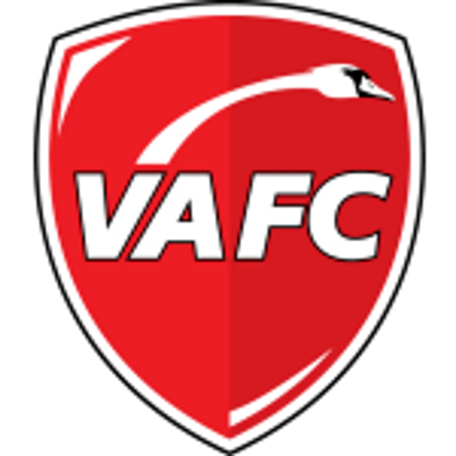 Valenciennes FC