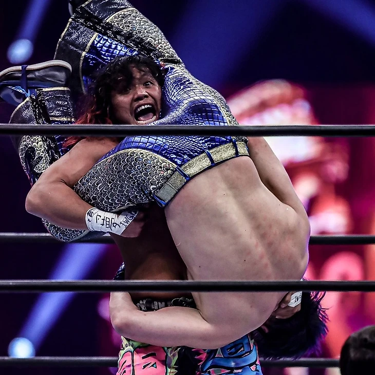 Обзор NJPW Wrestle Kingdom 17, изображение №22