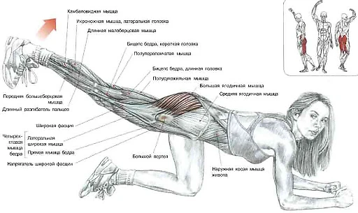 Клейкая лента черная широкая