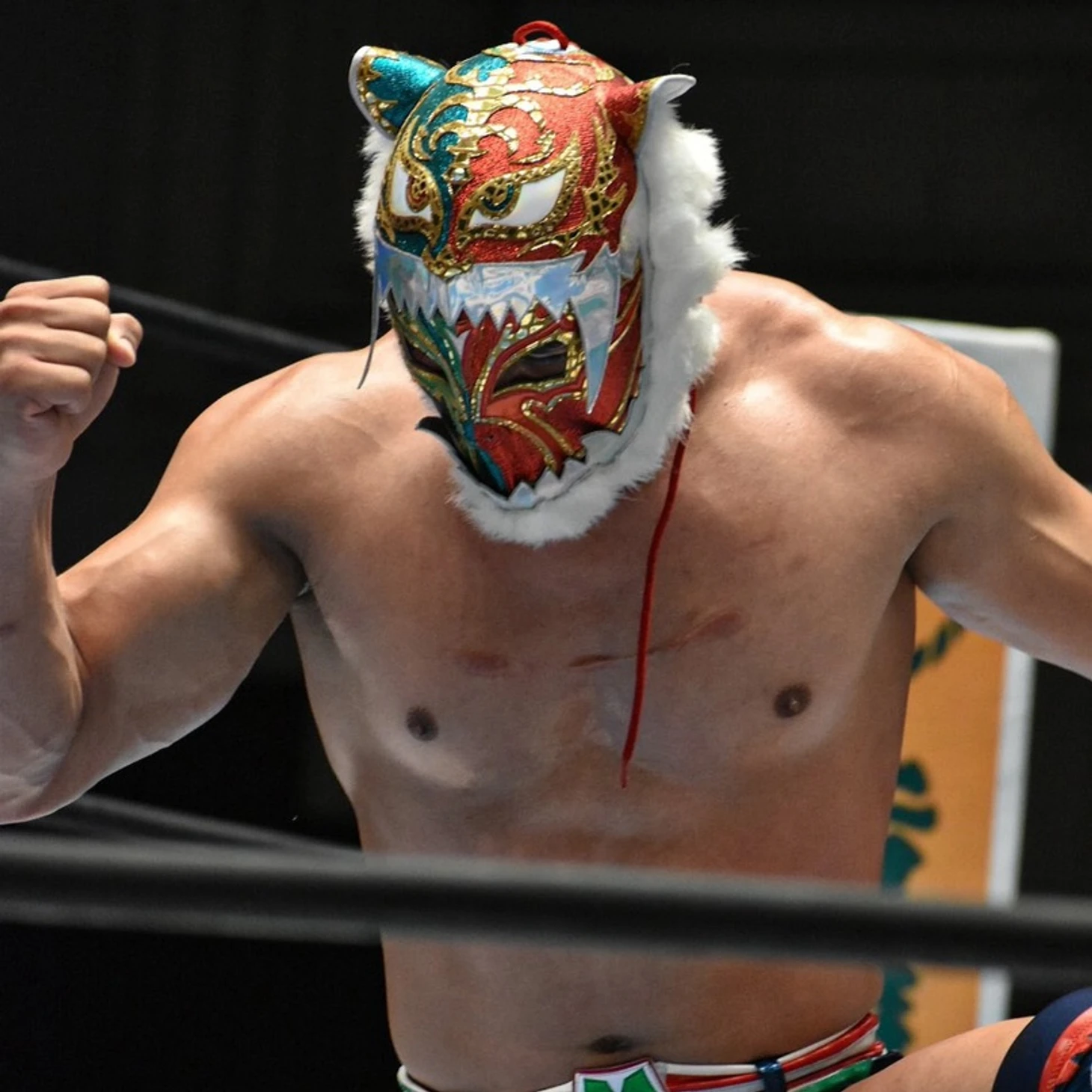 Обзор седьмого дня NJPW Best of the Super Juniors 29, изображение №3