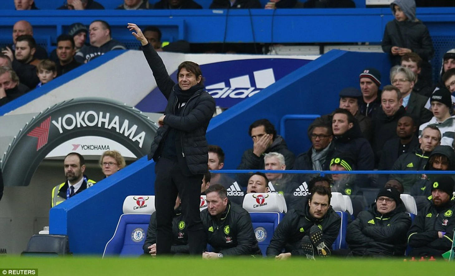 Conte