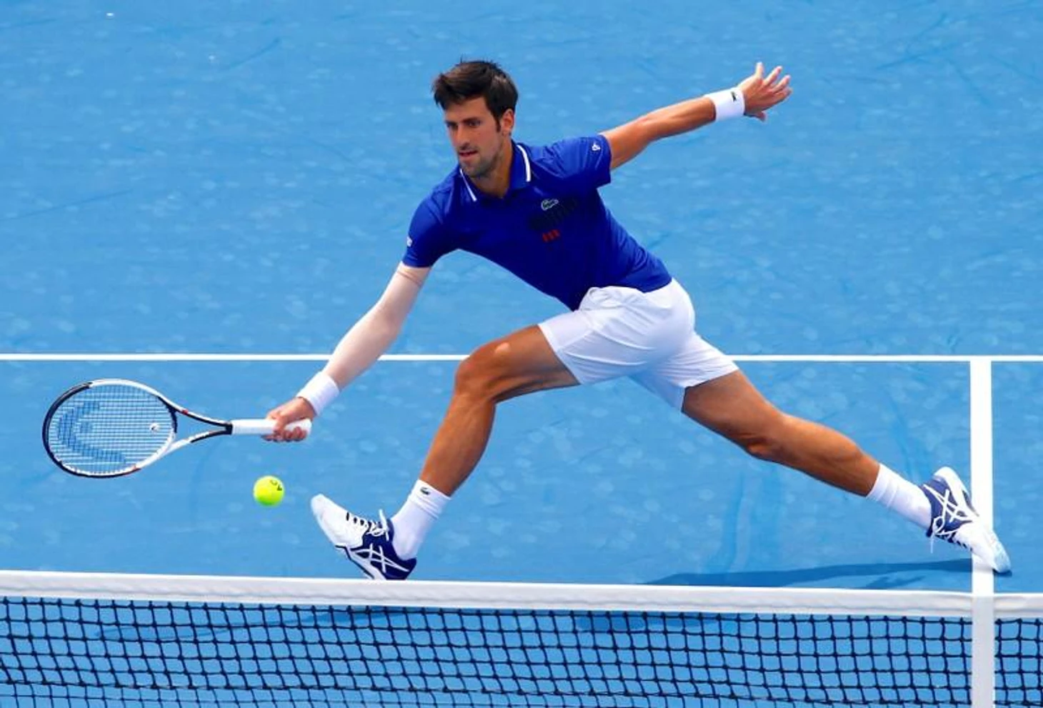 Kooyong Djoker