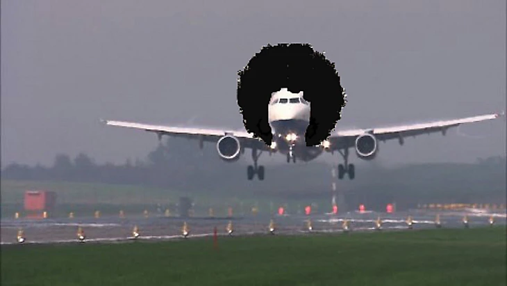 Витцель в Турине