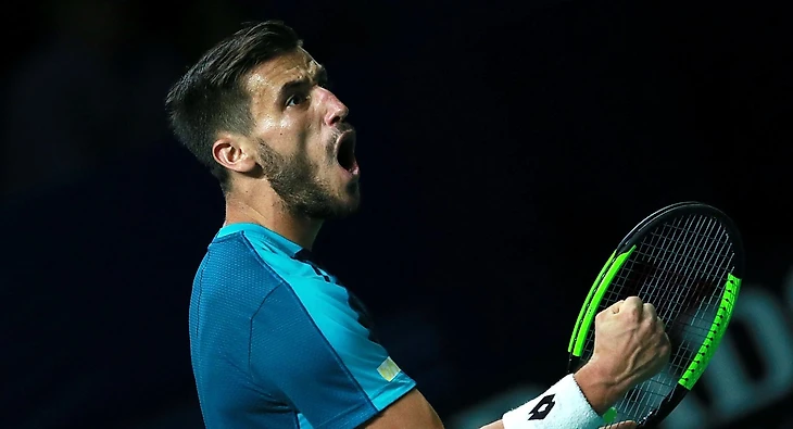 Дамир Джумхур