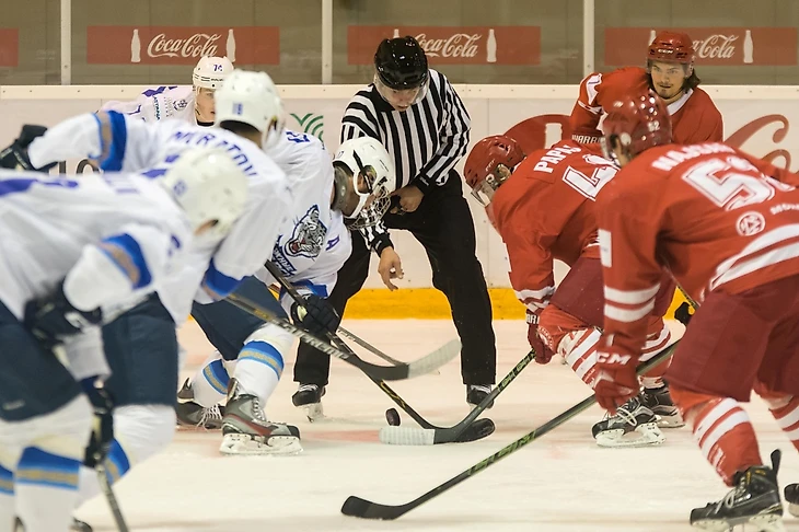 Снежные Барсы