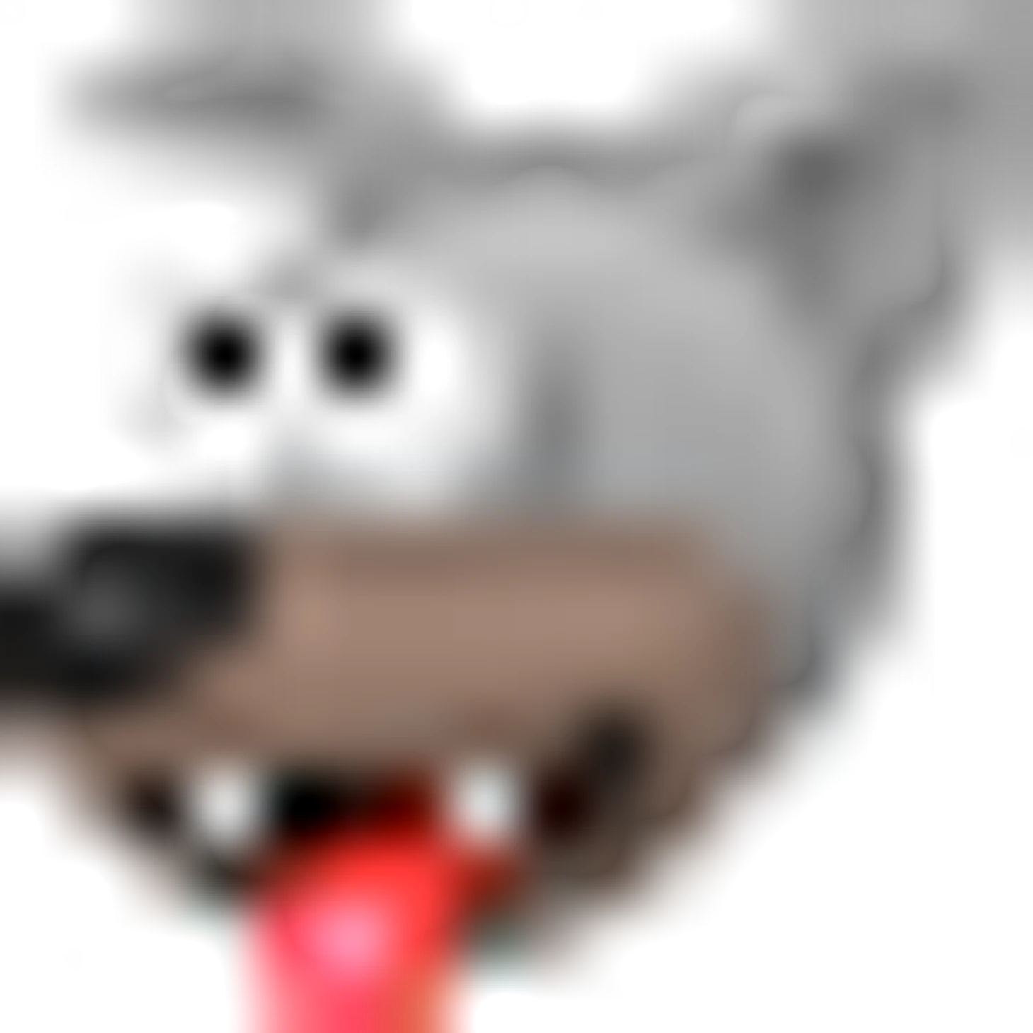 🐶