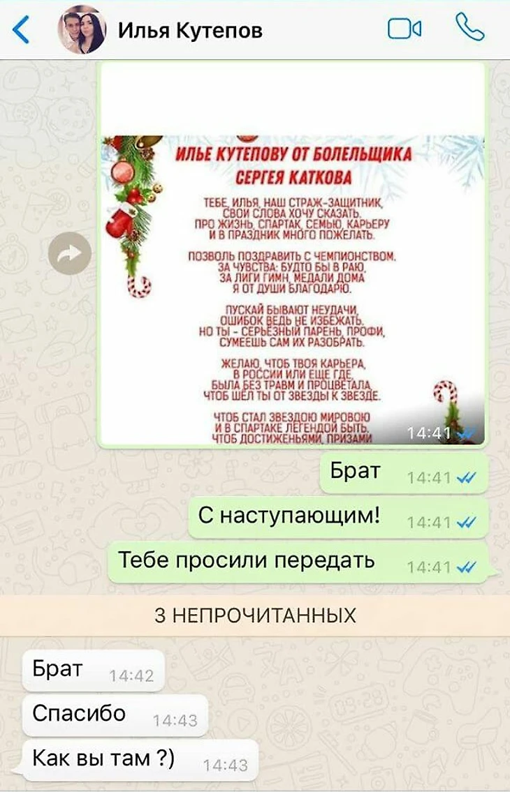 новогоднее пожелание 