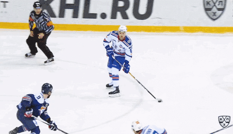 СКА – чемпион! Все по делу