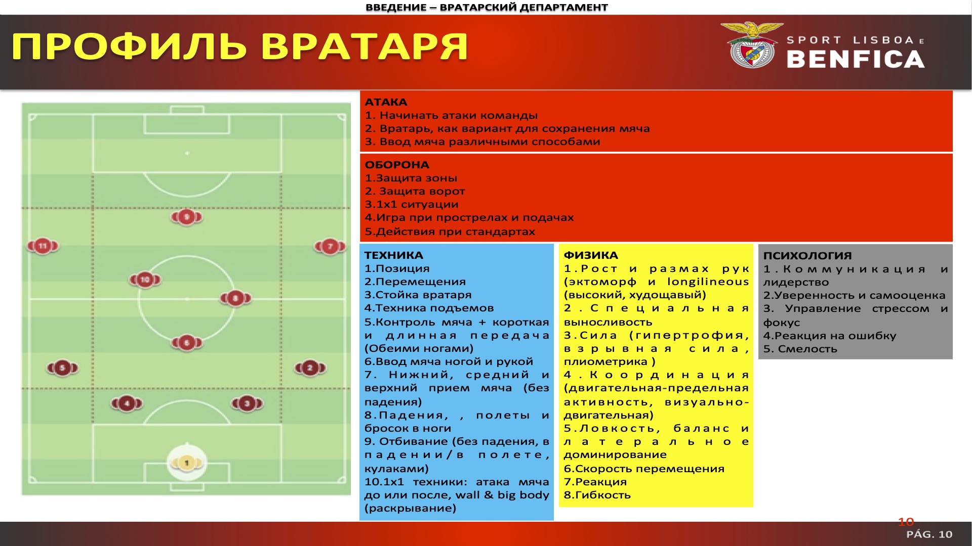 Скауты вратарей. Разбираемся, кто это такие. Как устроен скаутинг и отбор  вратарей в России и в Европе - A2M Football Agency - Блоги Sports.ru