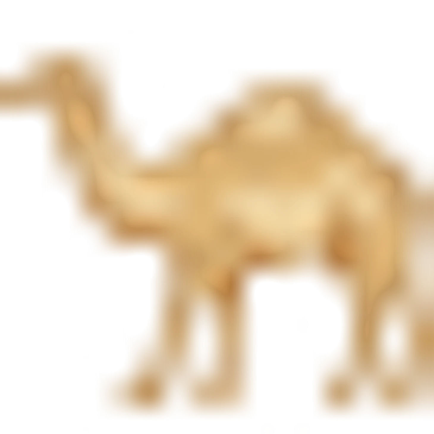 🐪