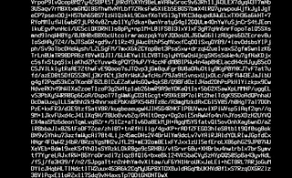 CD Project продолжает удивлять