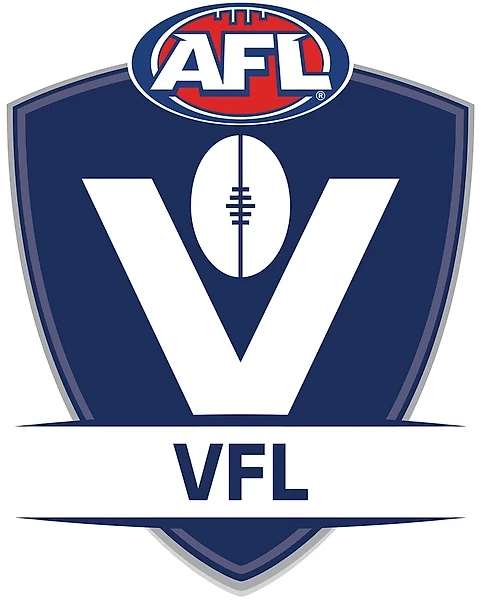 Логотип ВФЛ