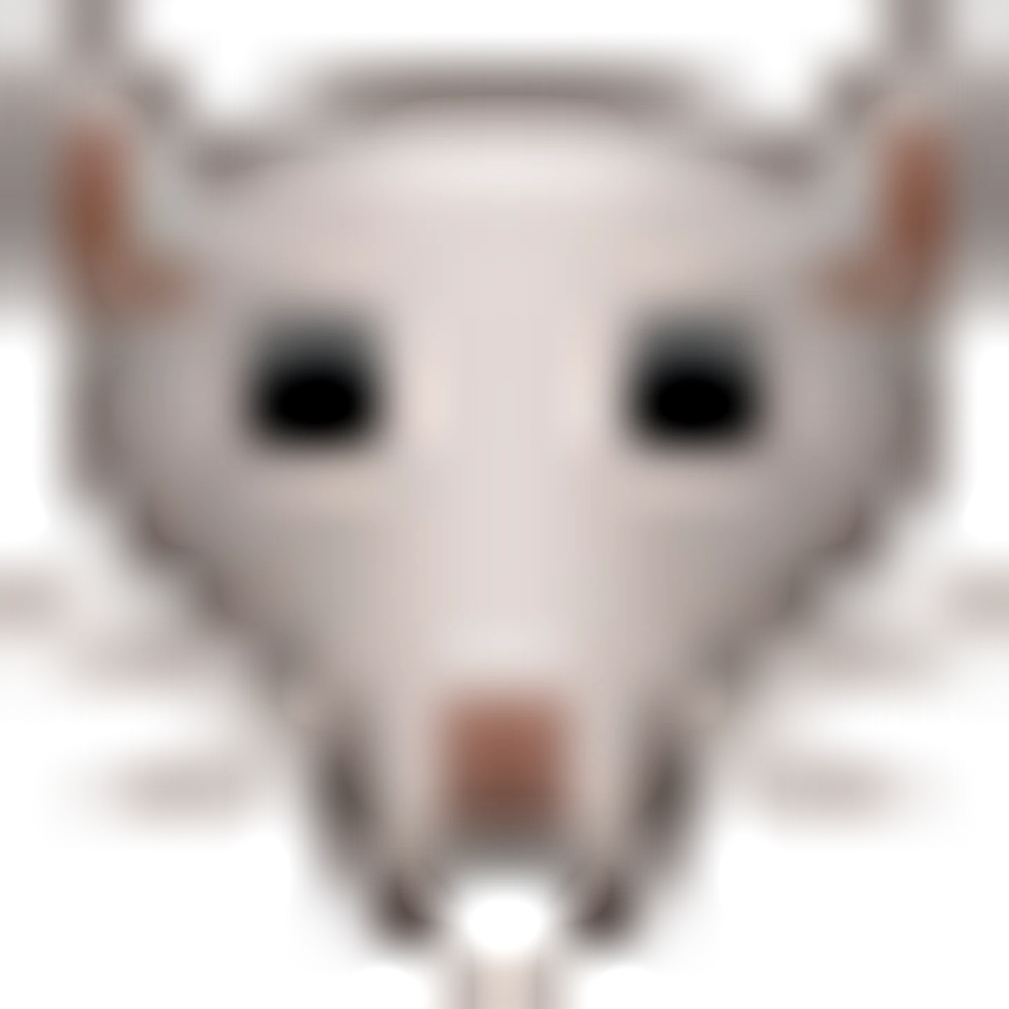 🐀