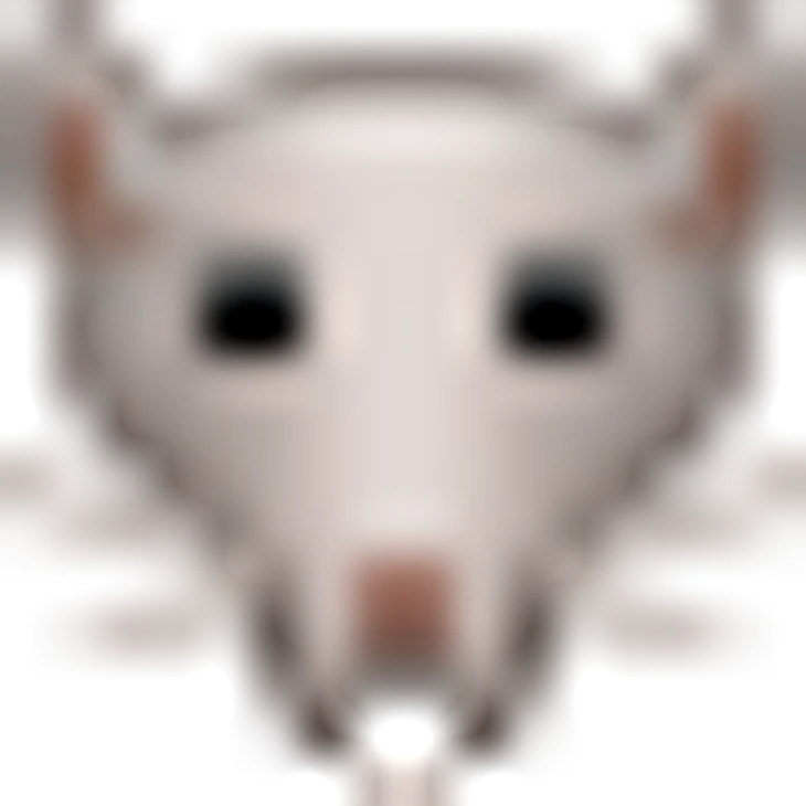 🐀