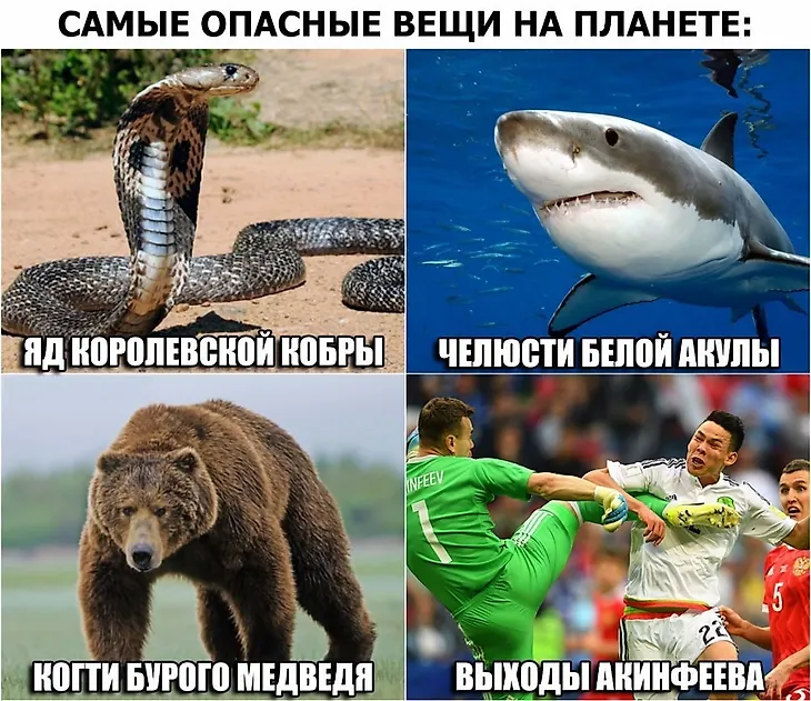 media