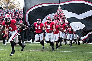 Альма-матер. Выпуск №8 Georgia Bulldogs