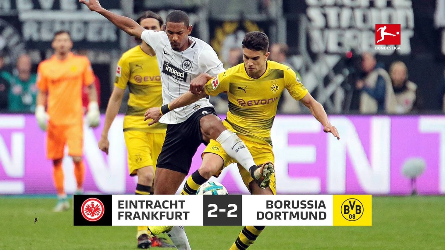 SGEBVB