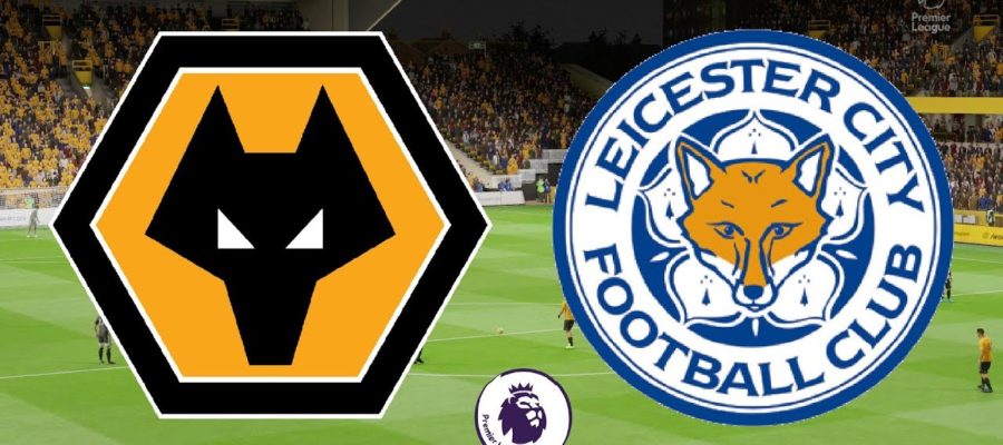 &#171;Волки&#187; против &#171;Лис&#187; контактная игра!