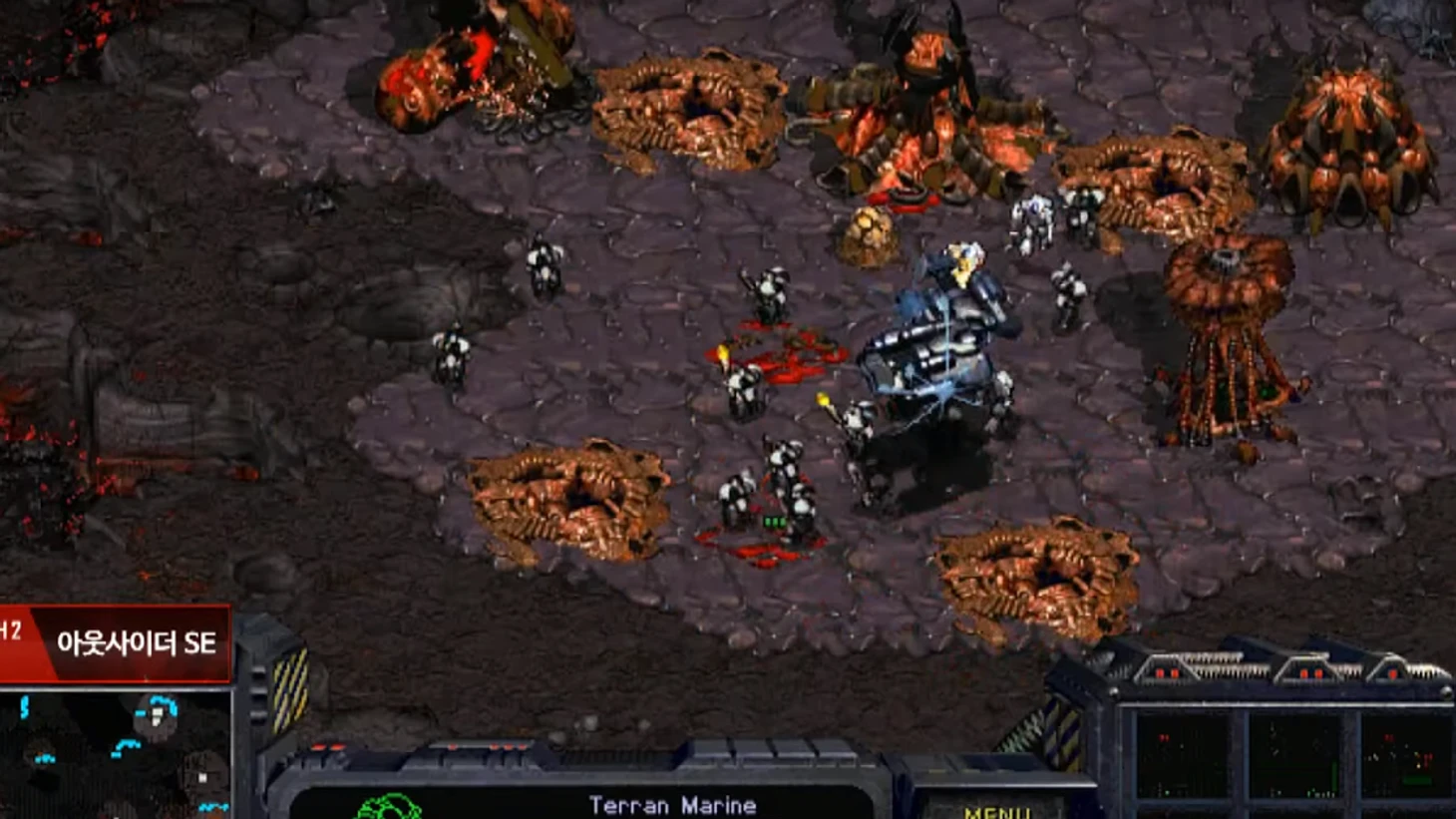 pasted image 0 (1).png