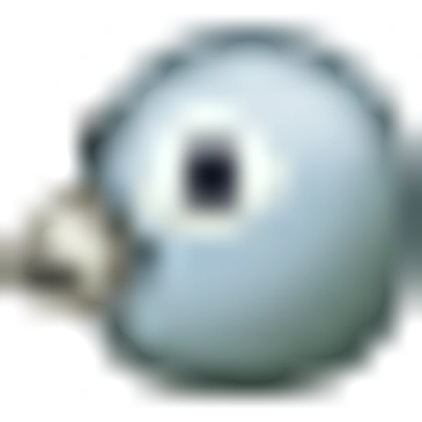 🐦