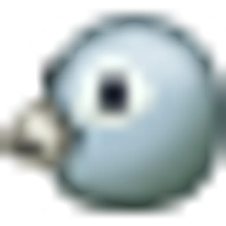 🐦