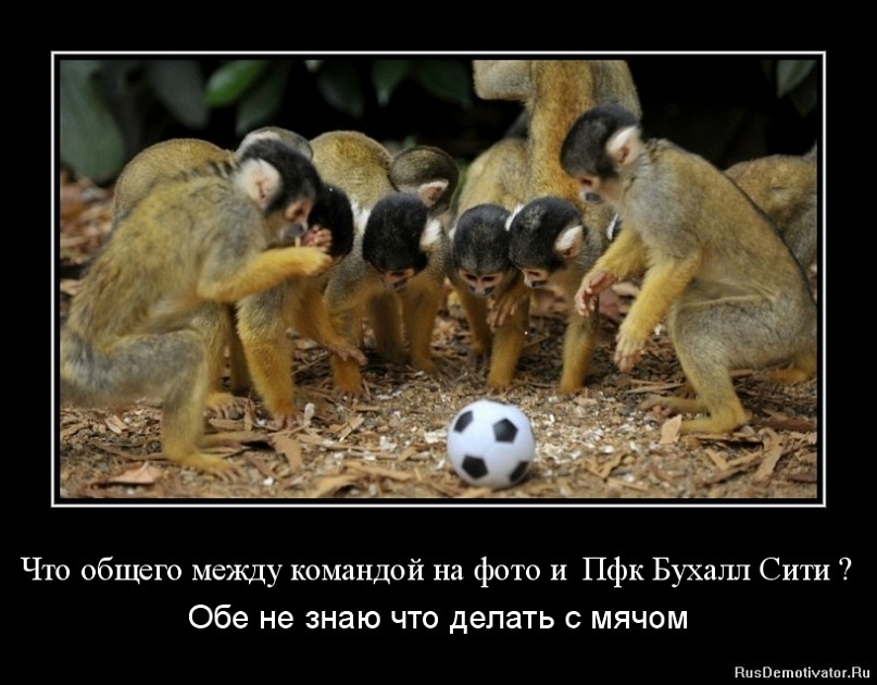 паапа