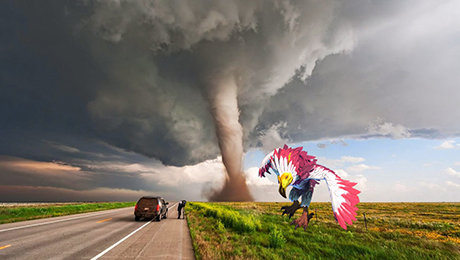 Фото публикации