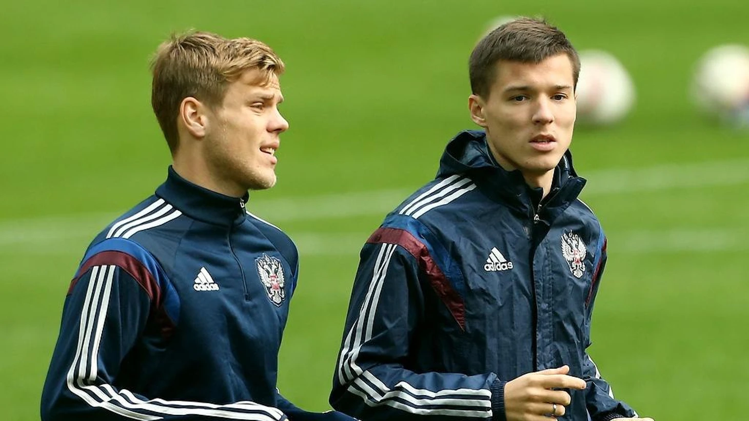 Кокорин.Полоз