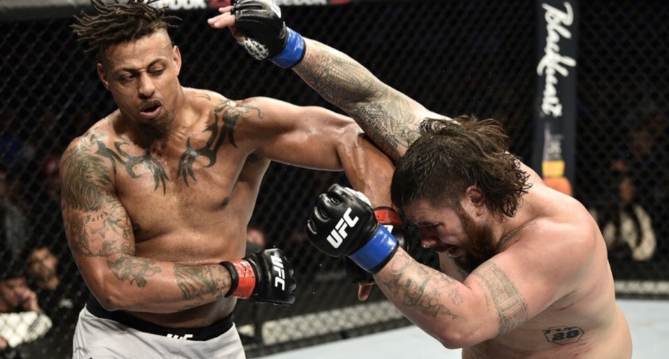 смешанные единоборства, Спортс, MMA, UFC