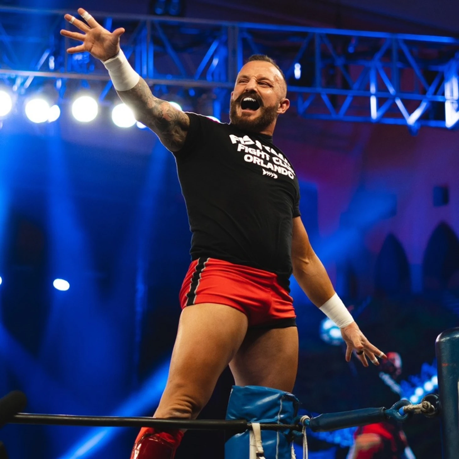 Обзор NJPW Battle in the Valley 2023, изображение №4