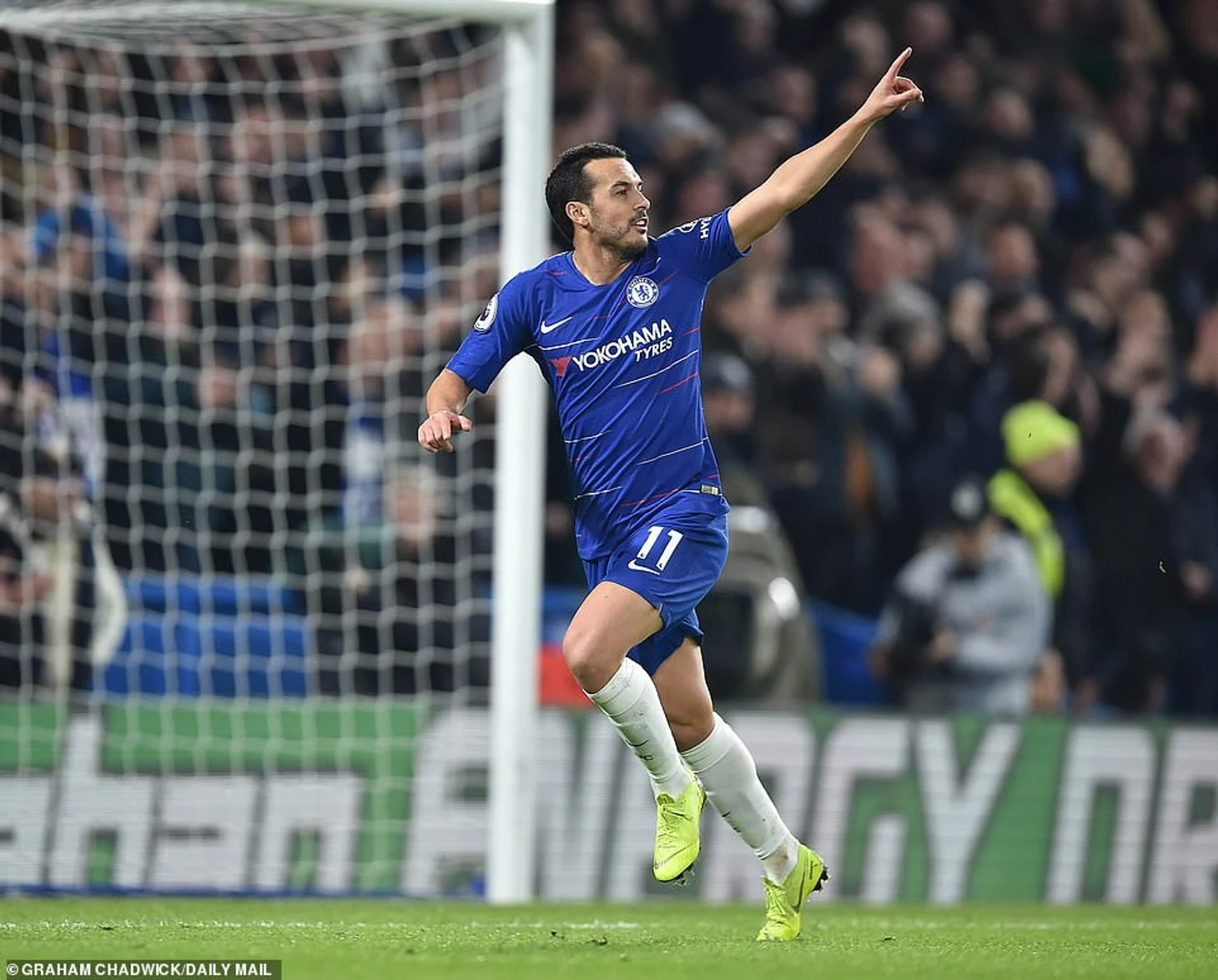 Pedro