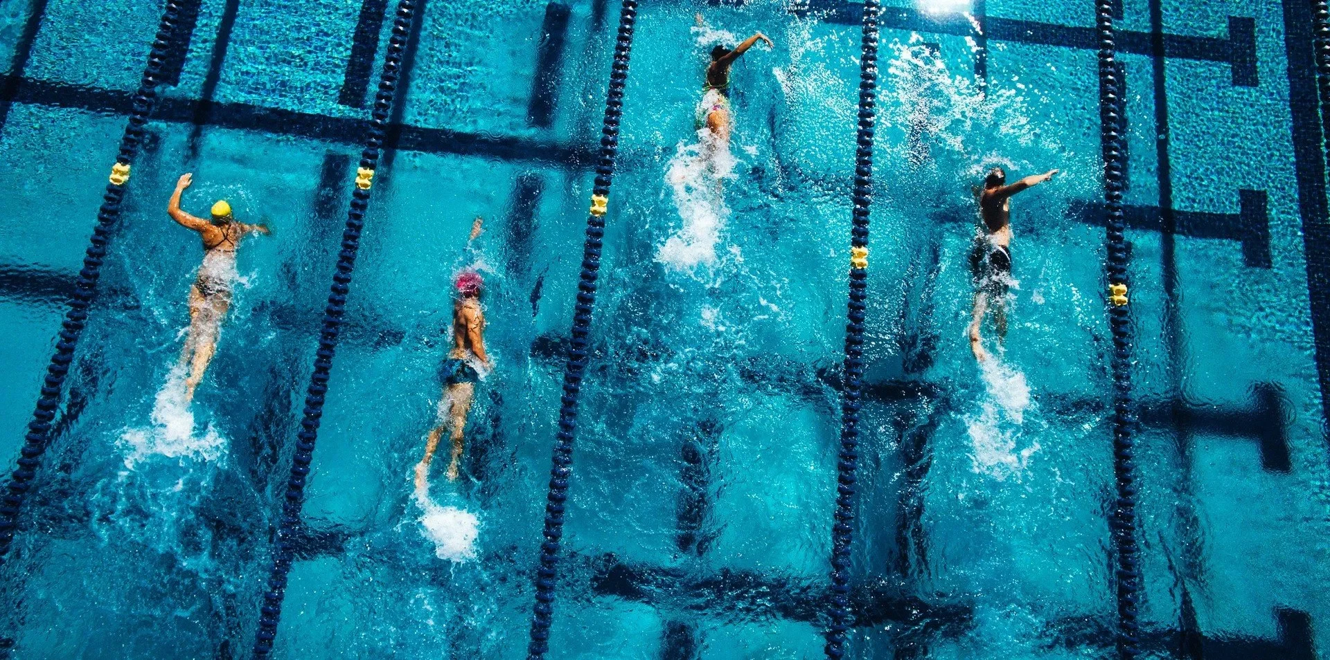 синхронное плавание, Чемпионат мира по водным видам спорта, водное поло, прыжки в воду, плавание