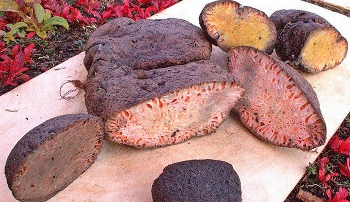 Ставки на спорт