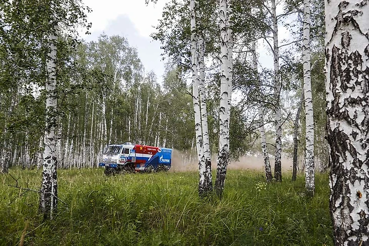 шелковый путь