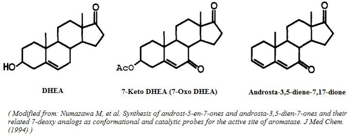Daily Madness News | DHEA and metabolites