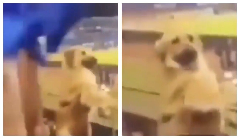 Клубы, Барселона, Реал Мадрид, Класико