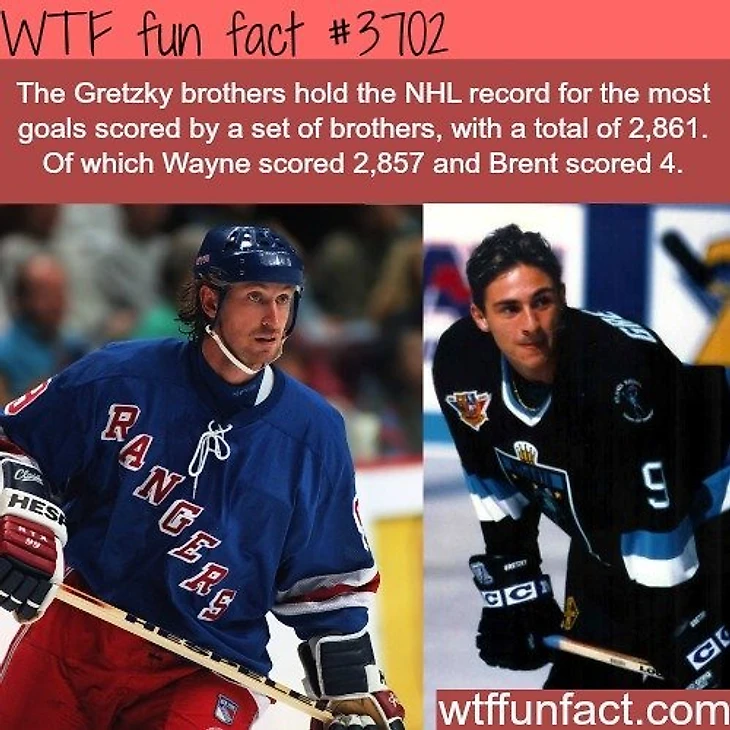 Gretzky bros