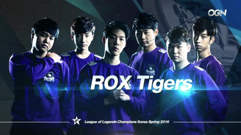 rox tigers