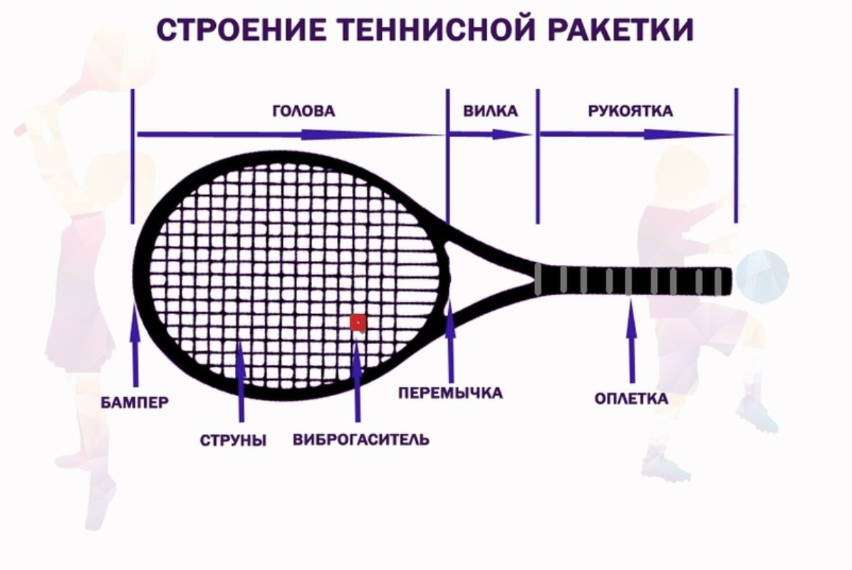 Правила игры в большой теннис – все правила, как правильно подавать мяч,  как ведётся счет - Лучший спорт на планете - Блоги Sports.ru