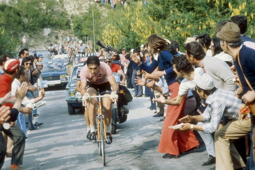 Меркс 1973