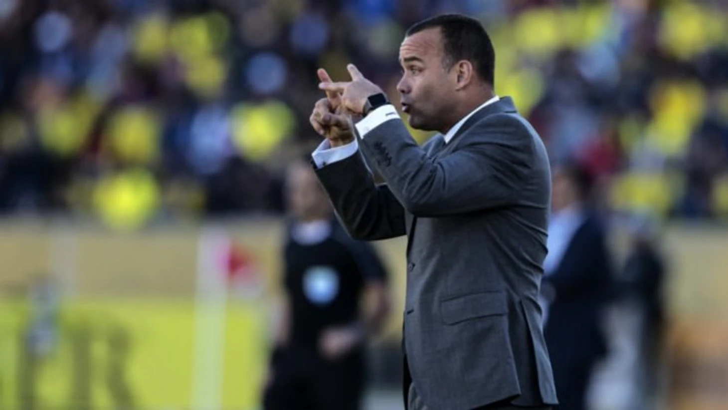 Рафаэль Дудамель