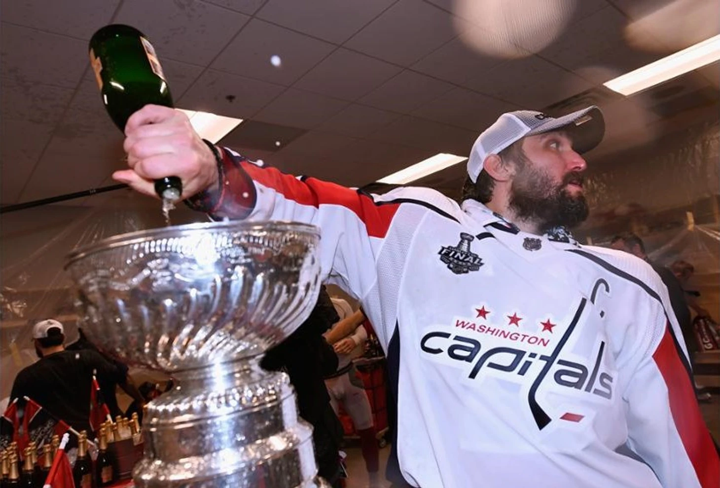 ovi