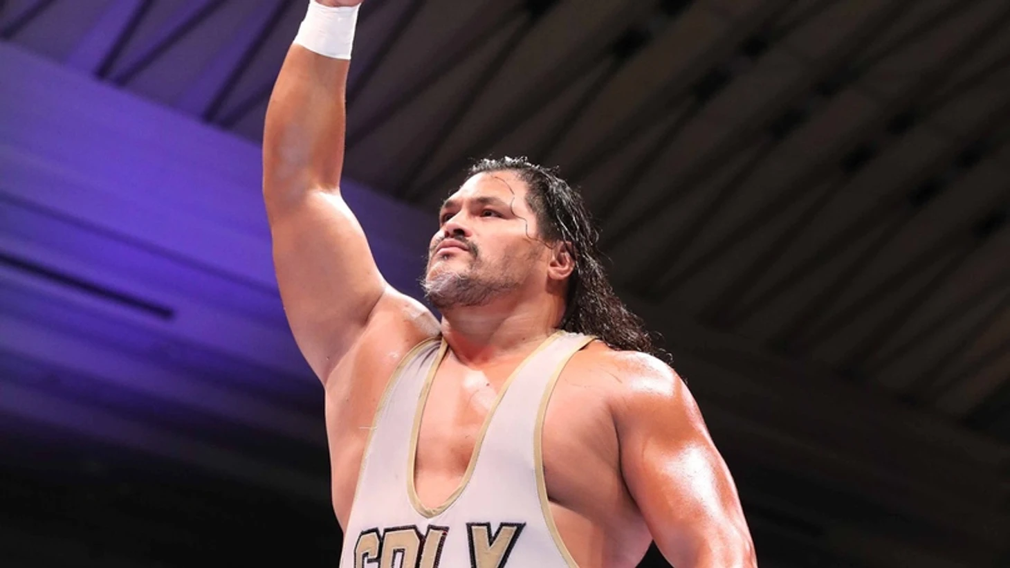 Обзор первого дня NJPW G1 Climax 30, изображение №5