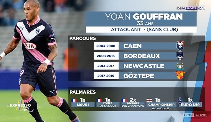 Карьера Йоана Гуффрана: четыре клуба, победы в Лиге 1, Кубке лиги, Суперкубке Франции (дважды), Чемпионшипе и чемпионство Евро U19 со сборной Франции.