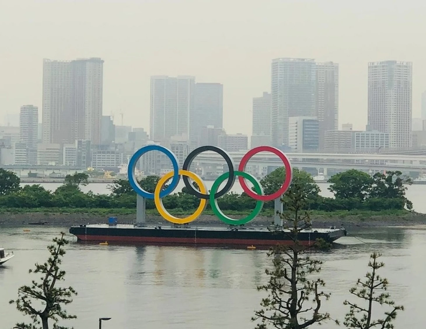 "Предположу, что Олимпиаду все же отменят". Взгляд изнутри россиянки, живущей в Японии, изображение №4