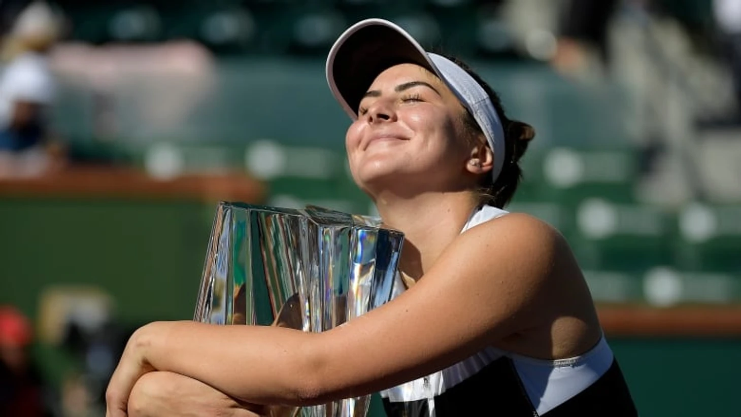 титул Андрееску